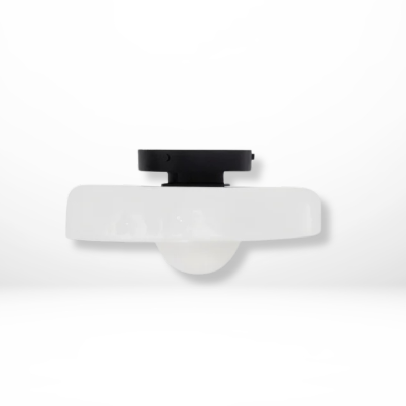 Scandinavische Glazen Plafondlamp