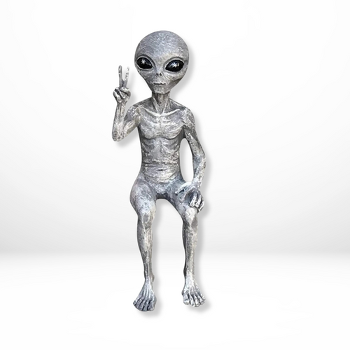 Hars Buitenaardse Alien Beeldje