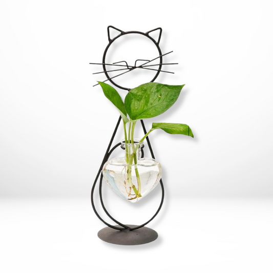 Zwart Kattenframe Glazen Hartvaas
